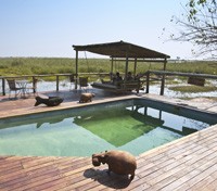 Duma Tau - Pool